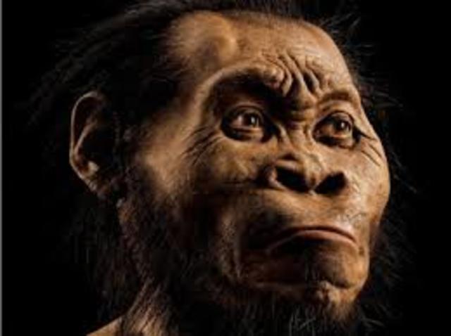 Homo Antecessor
