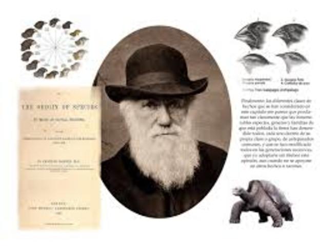 Inicios de la Teoría