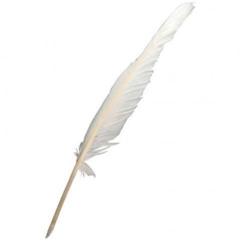 The Quill Pen