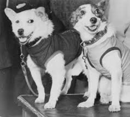 First plants/animals return safely from Earth's orbit.