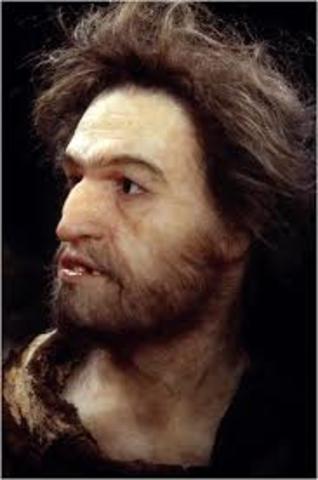 Homo de Cro-Magnon