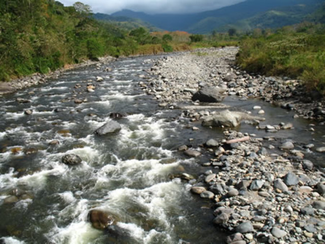 Reserva Forestal Río Macho