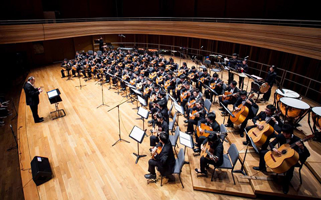 Who plays the guitar?