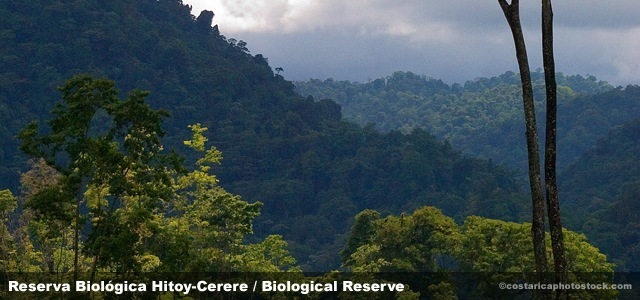 Reserva Biológica Hitoy Cerere