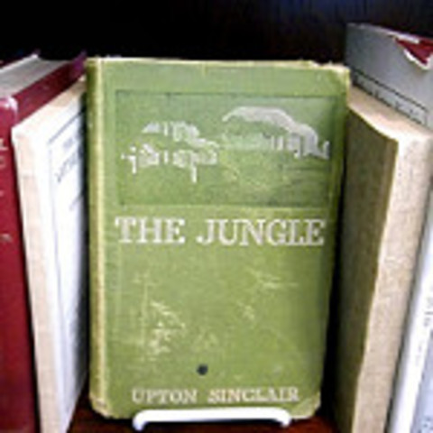 The Jungle by Upton Sinclair
