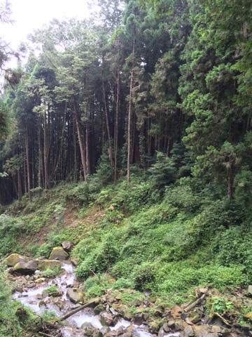 The First Time I went to Taiwan that I Remember