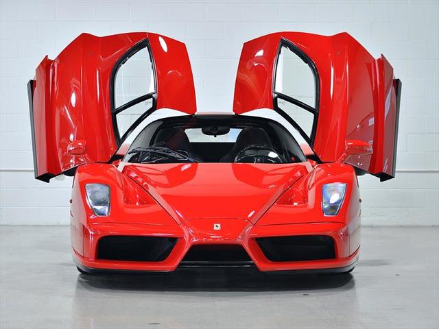 The Famous Ferrari Enzo