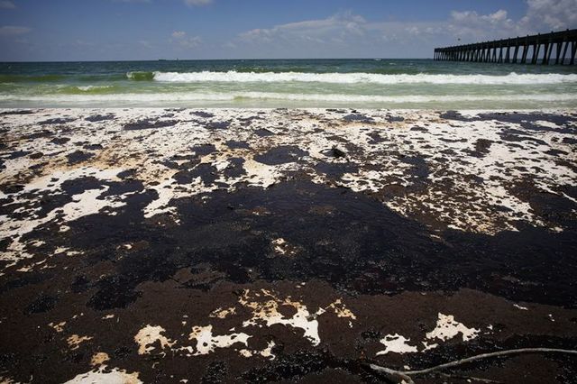 The Gulf Oil Disaster