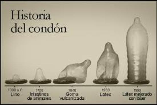 Evolucion del condon.