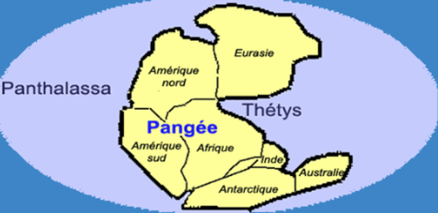 Les continents forment la Pangée