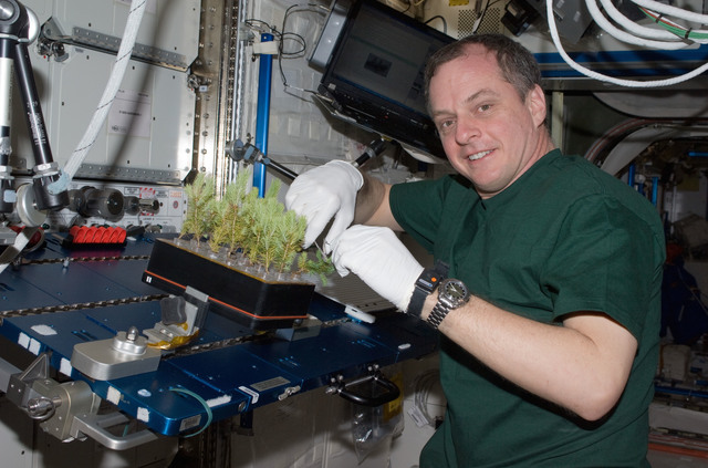 First plants to come back from space alive