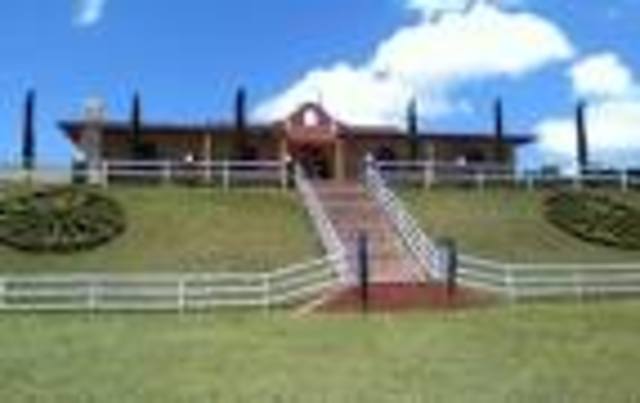 Mi primera excursión