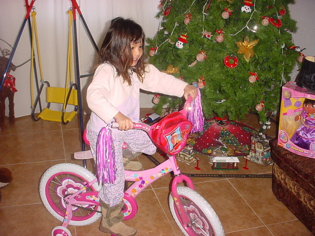 Primera bicicleta y columpio