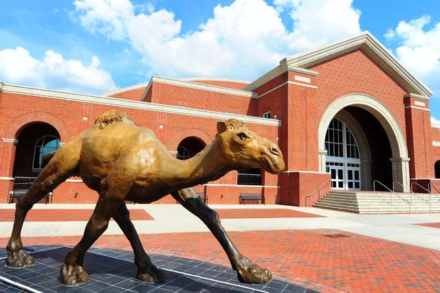 My Tentative First Day of Class