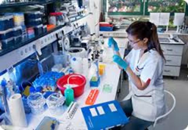 Work option- Material engineer