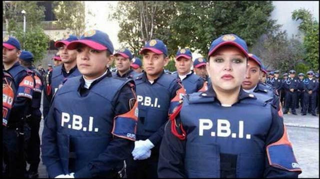 SEGURIDAD PUBLICA EN EL MEXICO MODERNO