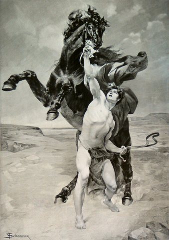 Bucephalus Dies