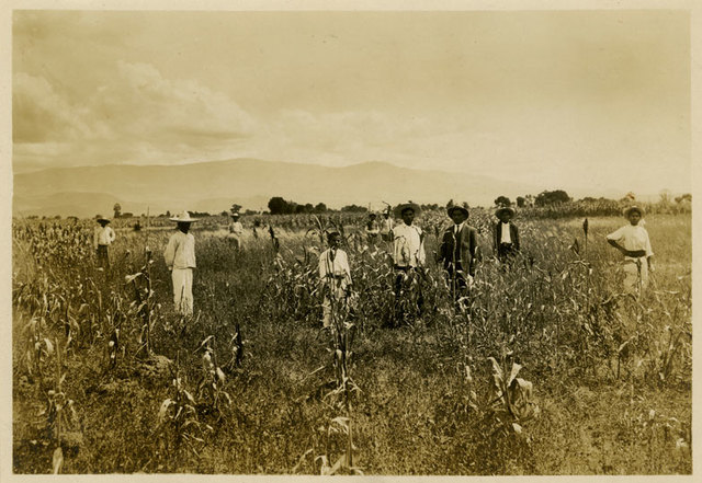 La agricultura y ganadería