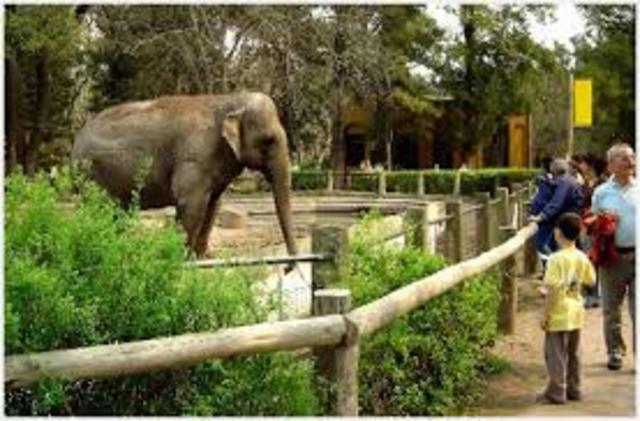 Mi primera visita a un zoologico