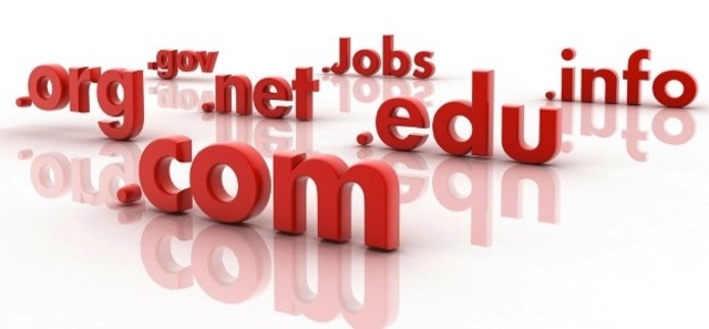 The domain name system was created