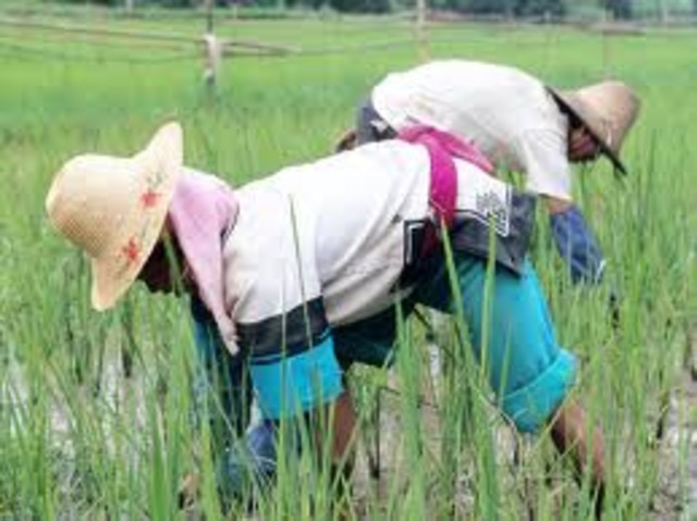 Los obreros tuvieron que soportar terribles condiciones de trabajo, incluyendo jornadas de doce a catorce horas y bajos salarios.