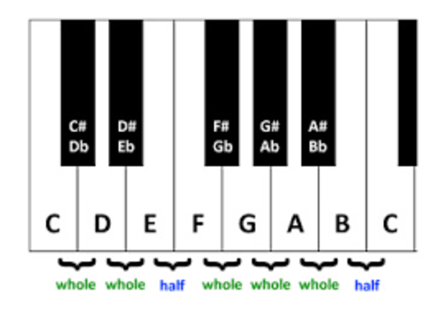 Establishing the Octave Scale
