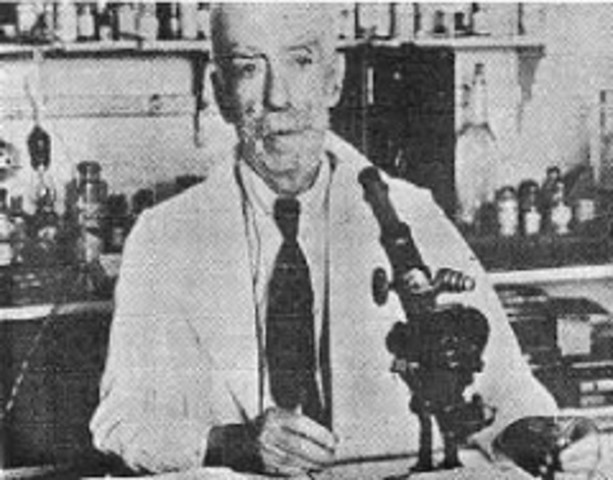 Teoria de la Plasmogenia