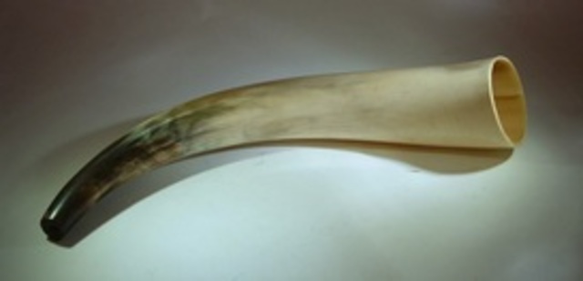 First Horned Instruments