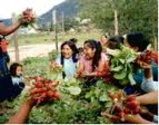 Quedaron en primer lugar los derechos económicos, sociales y culturales,