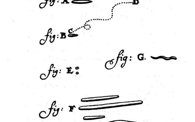 Leeuwenhoek Theory