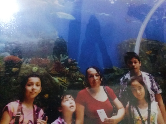 El acuario de guadalajara