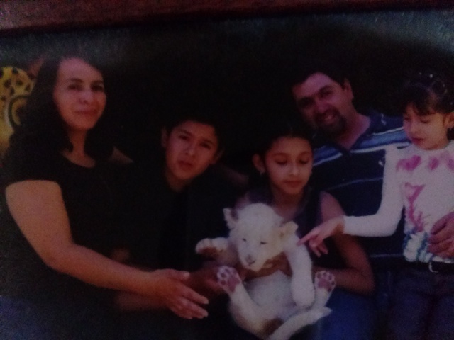 Conociendo a los bebes de animales salvajes