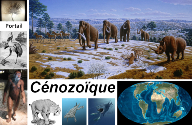 Il y a 66 milliards dannées:  Début de l'`ère cenozoique