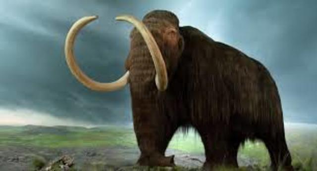 Apparition des mammifères