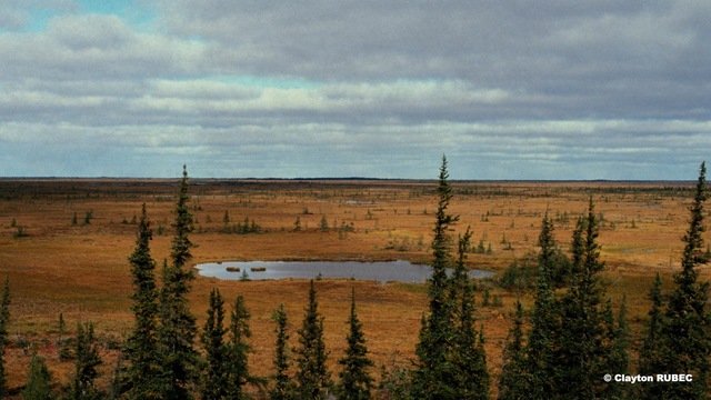 Création des Basses Terres de la baie d'Hudson
