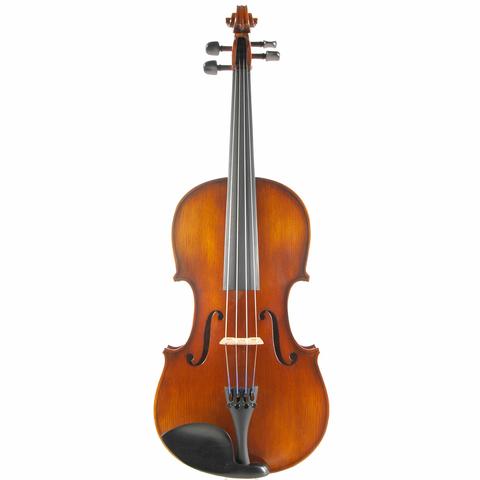 I learned to play the viola