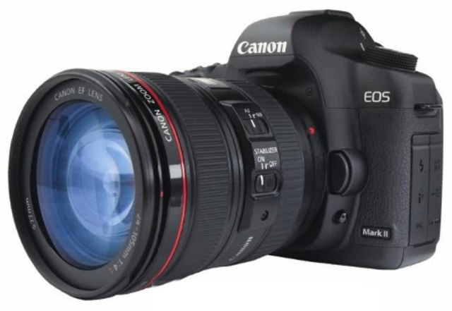 High End DSLRs (Current cameras)