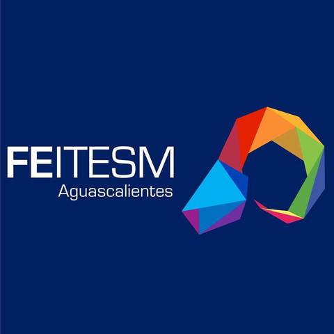 FEITESM