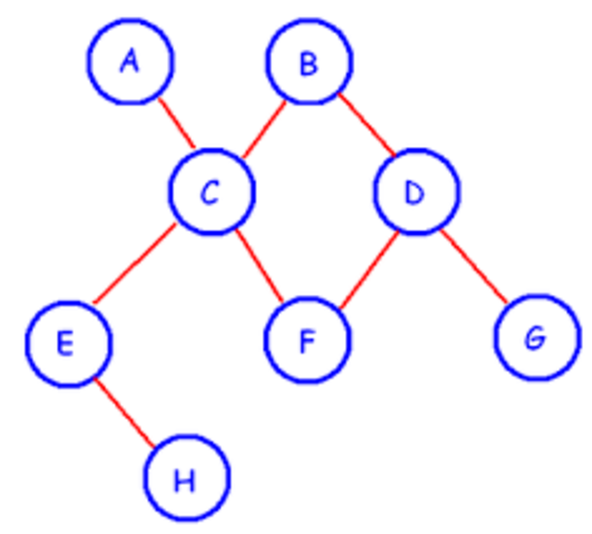 Bases de datos con estructura en red