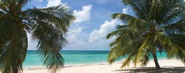 Day #11 Grand Bahamas Island