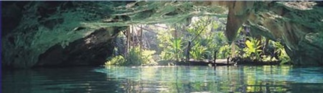 Day #10 Grand Bahamas Island