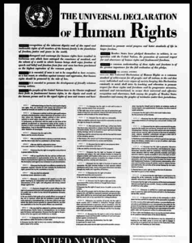 Universal Declaration of Human Rights was created