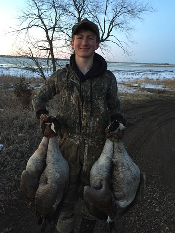 Geese Hunting