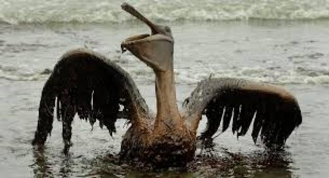 The largest oil spill in U.S history