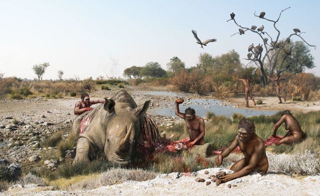 Primers humans prehistòrics