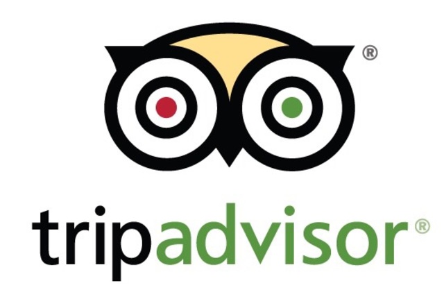 TripAdvisor's Creation