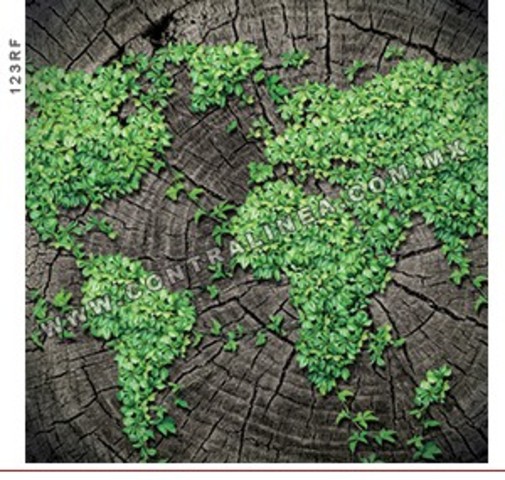 Se crea  la Sociedad Británica Ecológica.