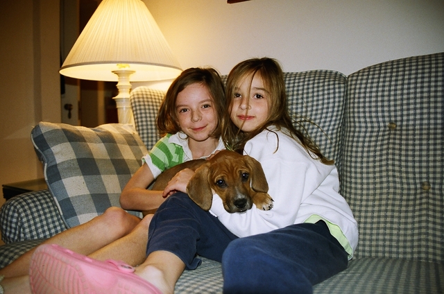 Adopting My First Puppy