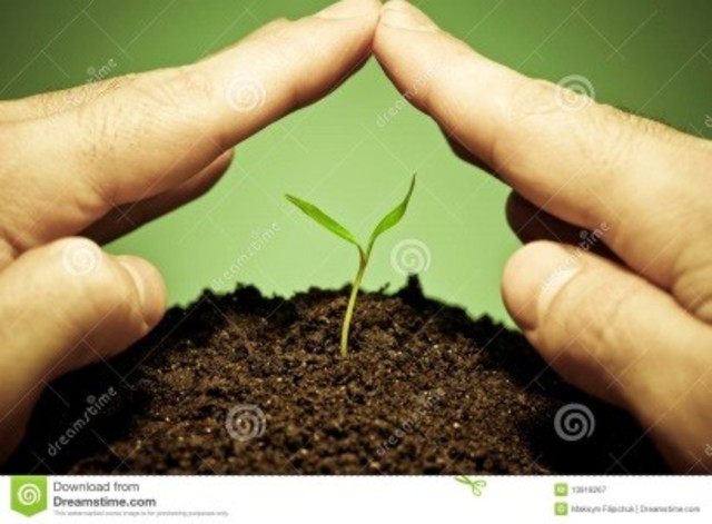 Convención para la protección de plantas.