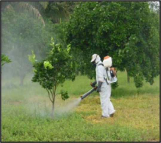 Conferencia de las Naciones Unidas sobre Medio Ambiente y Desarrollo (UNCED). “Cumbre de la Tierra”